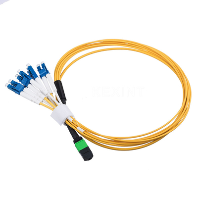 8 Core Fiber Optical Patch Cord MPO MTP Ke LC Duplex Breakout Cable
