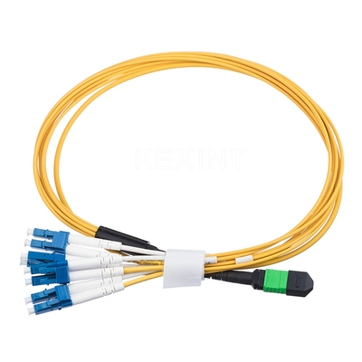 8 Core Fiber Optical Patch Cord MPO MTP Ke LC Duplex Breakout Cable